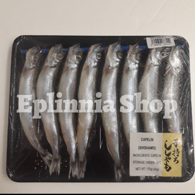 

Ikan Shisamo Capelin 150 gr - Ikan Sisamo