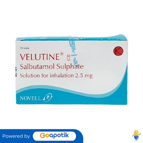 VELUTINE CAIRAN INHALASI 2.5 ML BOX 10 VIAL