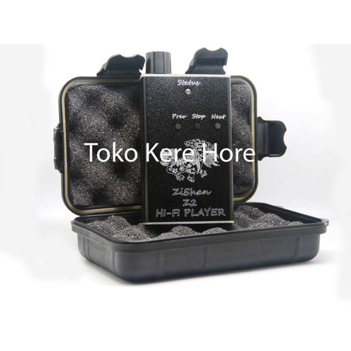 Terlaris Zishan Z2 - Music Player - High Res 24Bit 192Khz - Ak4490 Dap/Dac