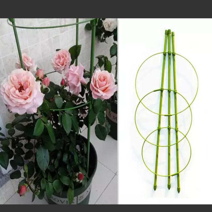 Tiang Penyangga Rambat Tanaman Tomat 45Cm