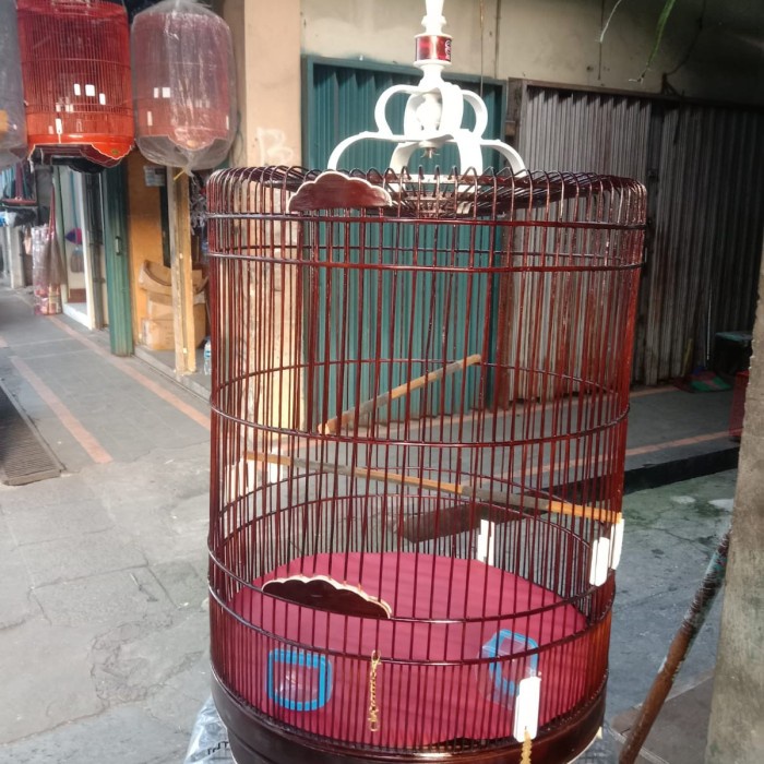 Sangkar/Kandang Burung Murai Rafi Jaya No 3 Aklirik( Gojek/Grab)