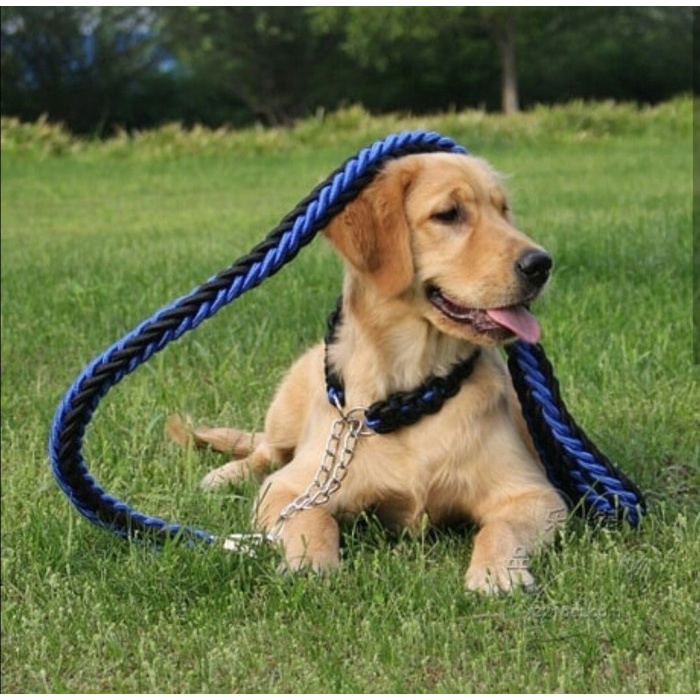 Terlaris Tali Rantai Anjing Besar / Dog Leash / Kuat Tebal Aman