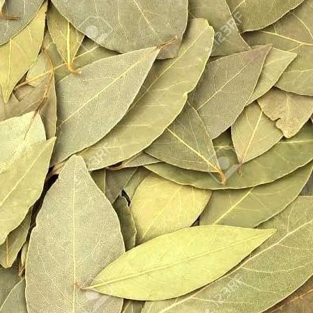 

BAY LEAVES DRIED - 500 gram/ DAUN SALAM KERING IMPORT TURKEY