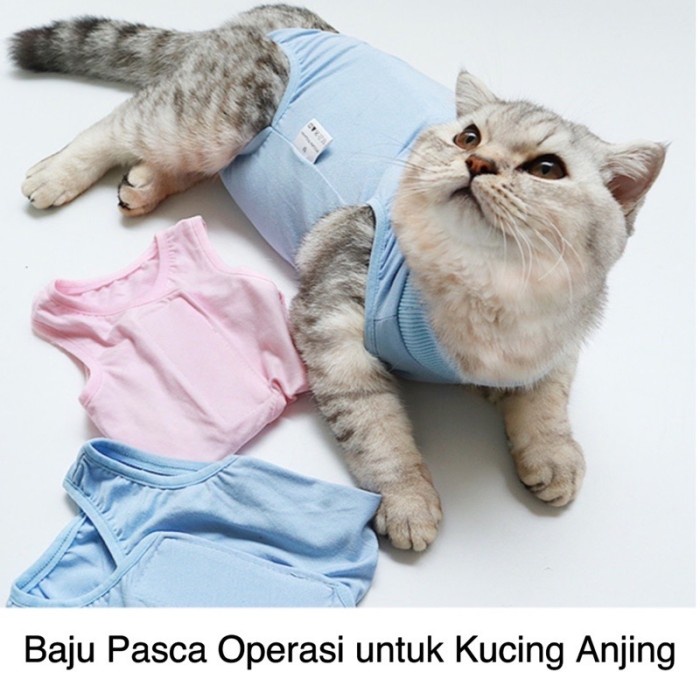 Bestseller Baju Kucing & Anjing Untuk Recovery/ Baju Steril Kucing Betina / Baju