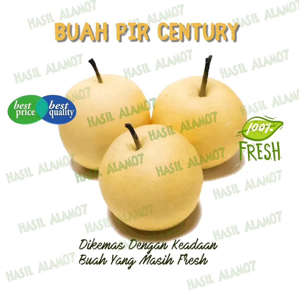 

Buah Pear Pir Century Segar Fresh 1kg