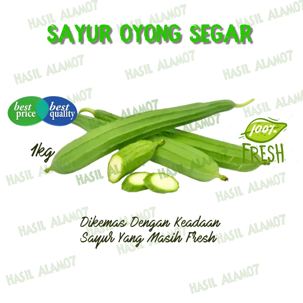 

Sayur Oyong Gambas Segar 1kg