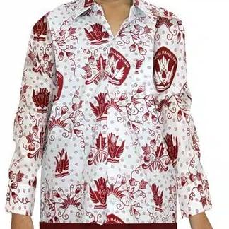 Baju Seragam Sekolah SD Batik Panjang