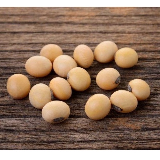 

Pasti Untung KACANG KEDELAI UTUH - 1 KG & 1 LT - WHOLE SOYBEAN - IMPORT