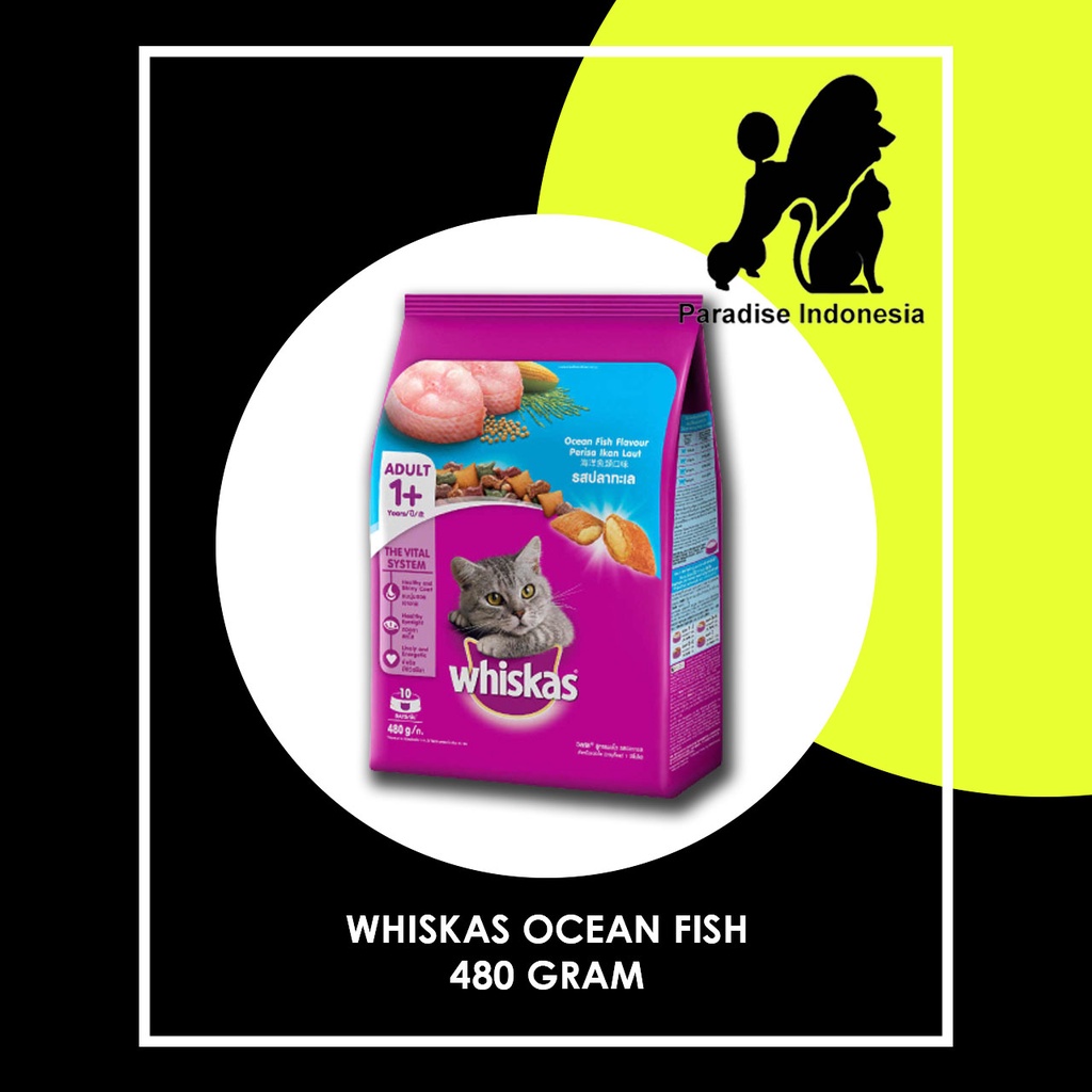 TERBARU Whiskas Ocean Fish 480gr - whiskas kering - makanan kering kucing dewasa - makanan kucing