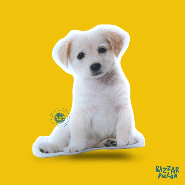 Bantal Anabul Custom Anjing / Kucing Size L