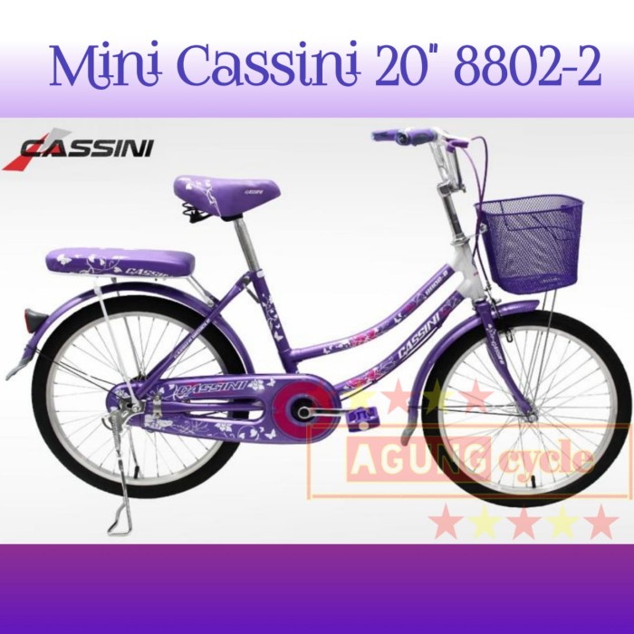 Terlaris Sepeda Mini Keranjang Trex Cassini 20 8802 Interbike Anak Dewasa Cewek