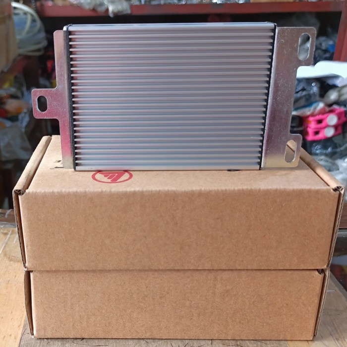 Bestseller Controller Sepeda Listrik Exotic Untuk Semua Sepeda Listrik (500W 48V)
