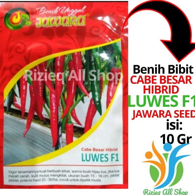Ready Benih bibit Cabe Merah Besar Hibrida Luwes F1 10 gram dari JAWARA Terlaris