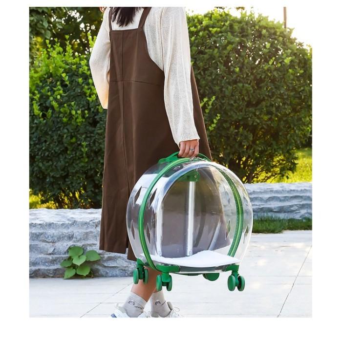 Tas Transparan Kucing Anjing Trolley Cargo Travel Bag Cat Dog Koper