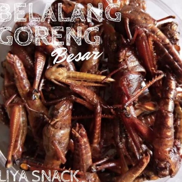 

FRESH!! Belalang Goreng Besar Toples Kecil