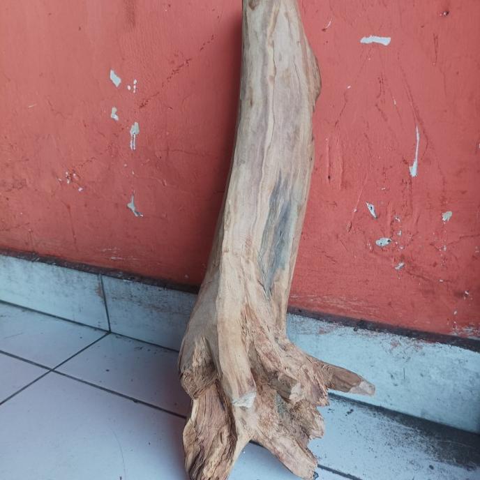 populer] Kayu cendana Batangan kupang asli 100%