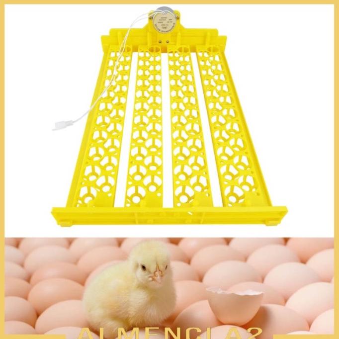 (Almencla2) Inkubator Mini Untuk 88 Telur Unggas / Burung