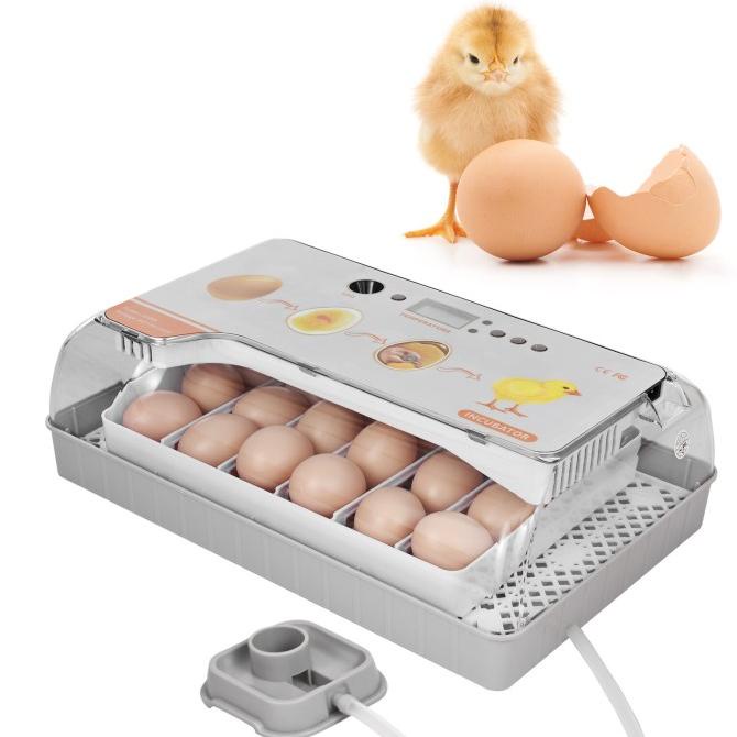 Hot Sale Inkubator Penetas Telur 20 Telur Unggas, Mesin Penetas TELUR
