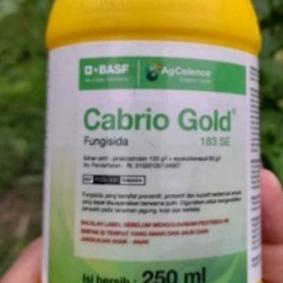 {{{{}}] cabrio gold 250ml