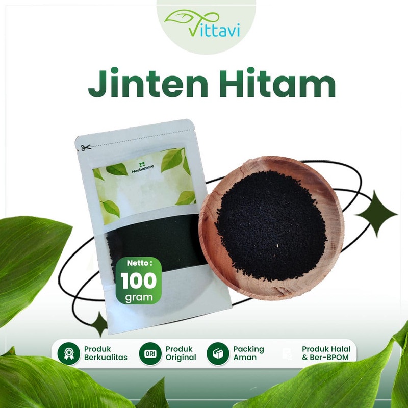 

☘️Vittavi☘️ Jinten Hitam Biji Habatussauda Habbasauda Asli 100% Kualitas Premium