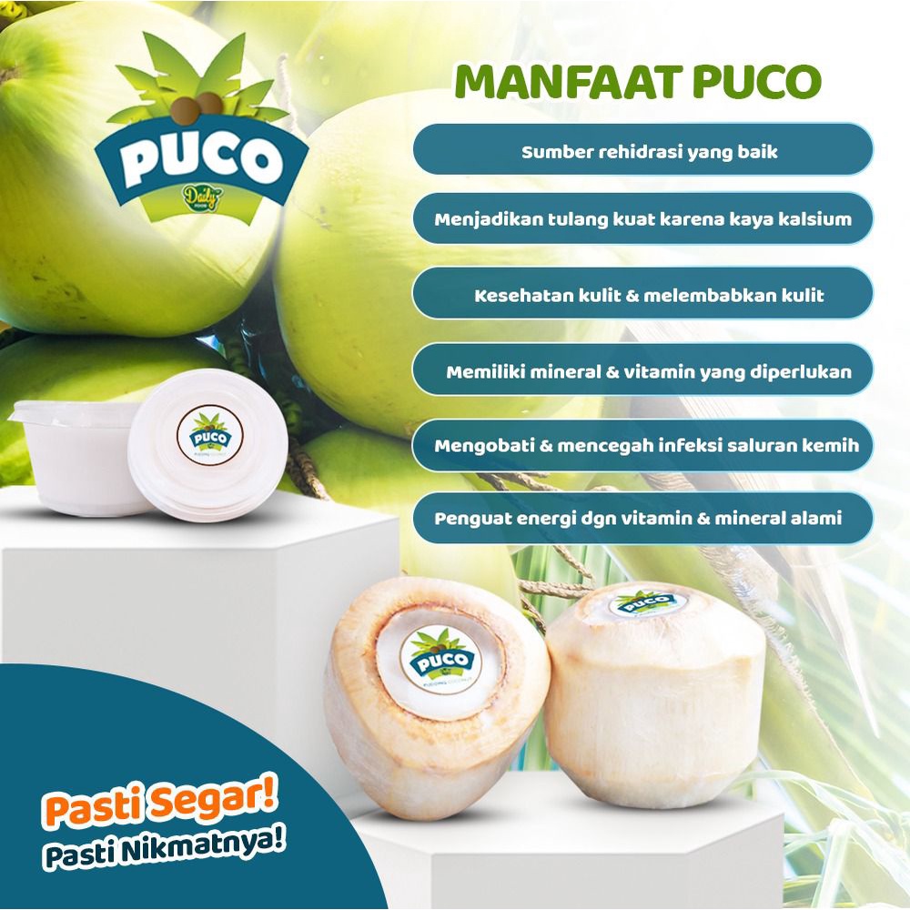 PUDING KELAPA ASLI PUCO CUP PUDDING COCONUT DAILYFOOD KEMASAN CUP