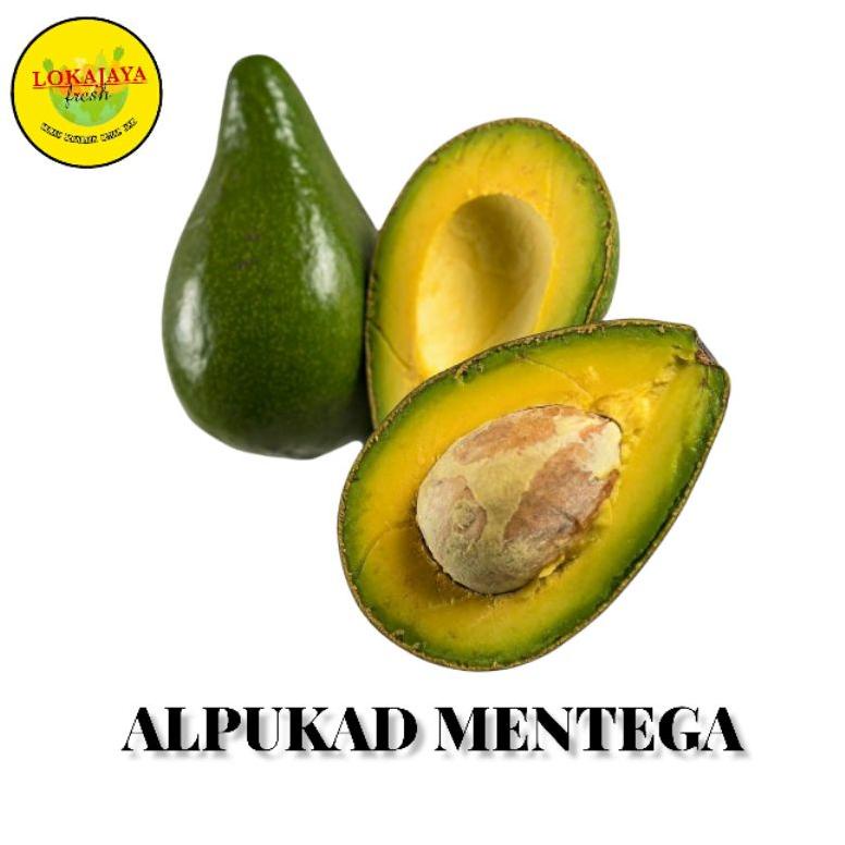 

Terlaku.../ Alpukat Alpukad Mentega Daging Tebal 1 Kg