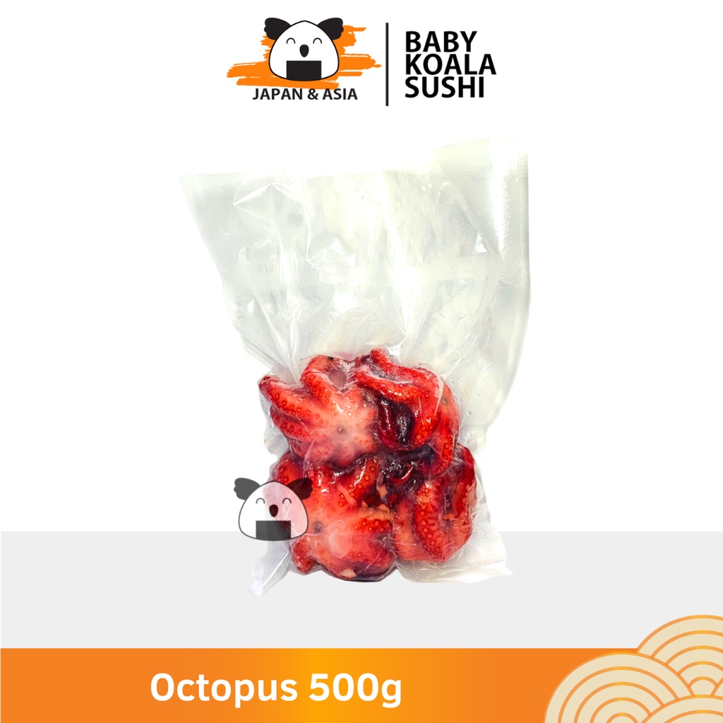 BABY OCTOPUS  Tako Flower 250 g | Bayi Gurita Mini Utuh | Boiled &amp; Fresh Frozen