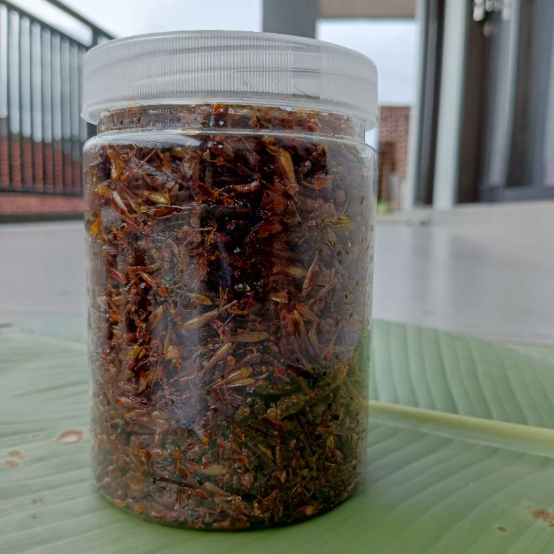 

Belalang Goreng 500 gram Paling Murah dan Enak untuk dijual lagi