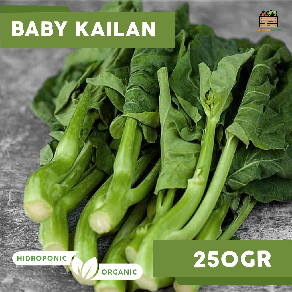 

Sayur Baby Kailan Organik | 250gr (Kota Bandung & Sekitar)