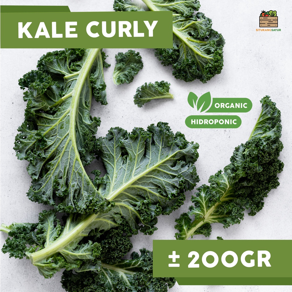 

Sayur Kale Organik | 200gr (Kota Bandung & Sekitar)