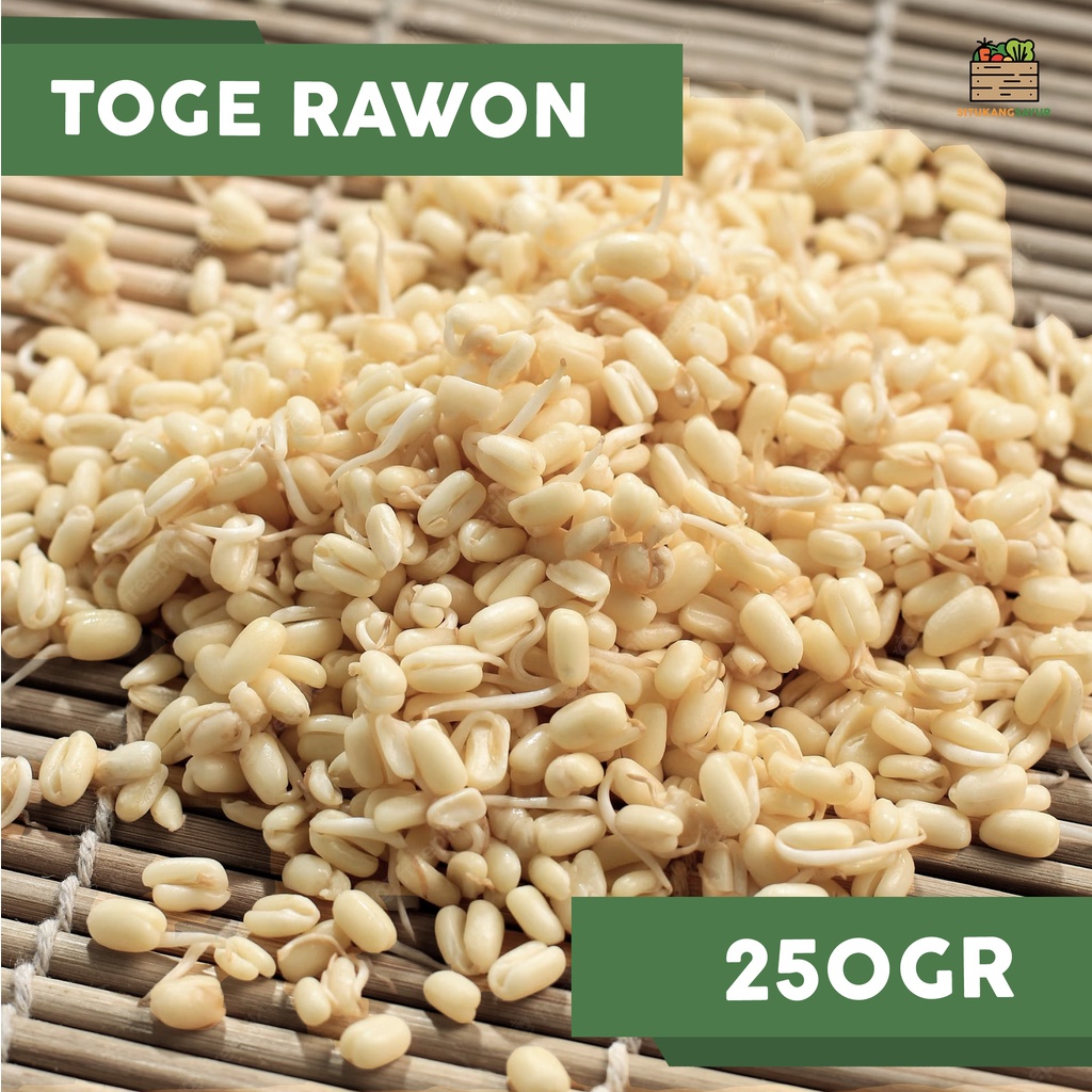 

Toge Rawon | 250gr (Kota Bandung & Sekitar)