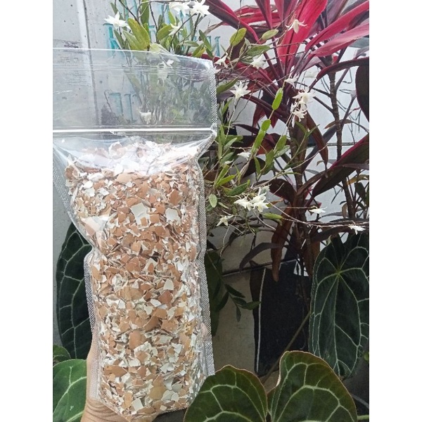 

kulit cangkang telur 1kg