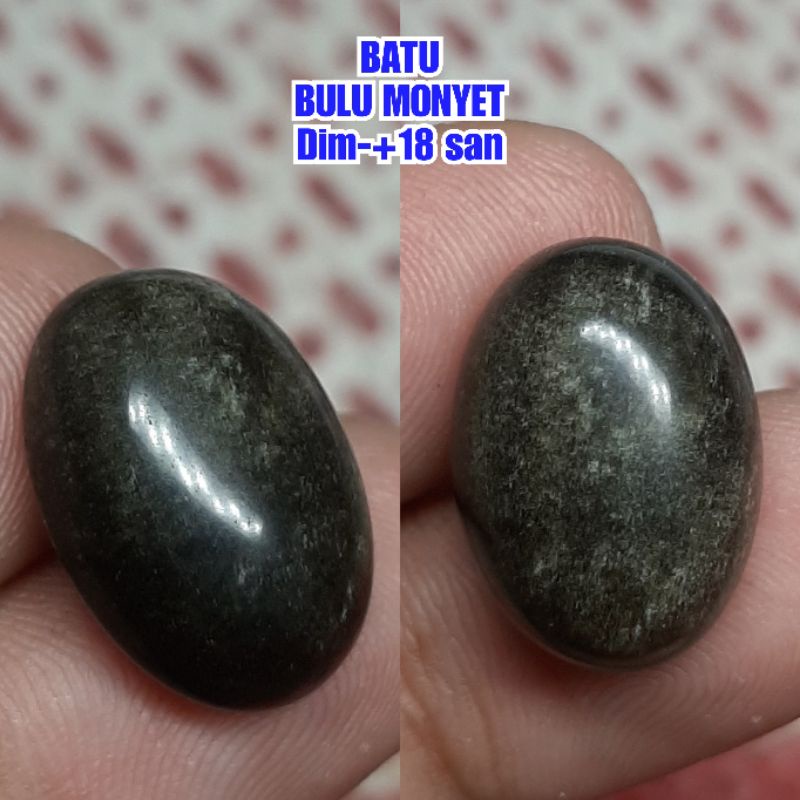 BATU BULU MONYET BATU SAJA