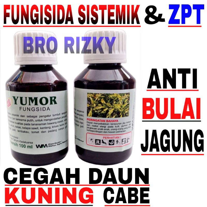 FUNGISIDA SISTEMIK YUMOR 100ML - CEGAH BULAI JAGUNG - CEGAH PENYAKIT KUNING PADA CABAI