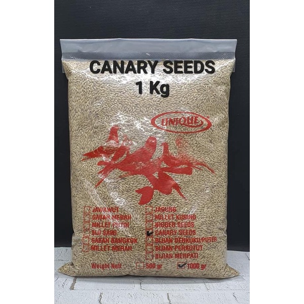 

STOK TERBATAS KENARI SEEDS 1 KG