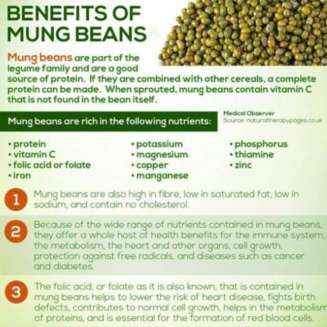 

SALE KACANG HIJAU ORGANIK 500 GRAM