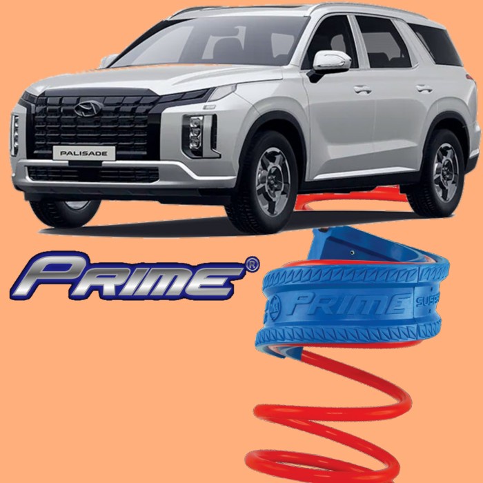 Dumper Hyundai Palisade Prime Stabilizer Fullset Spring Buffer Damper