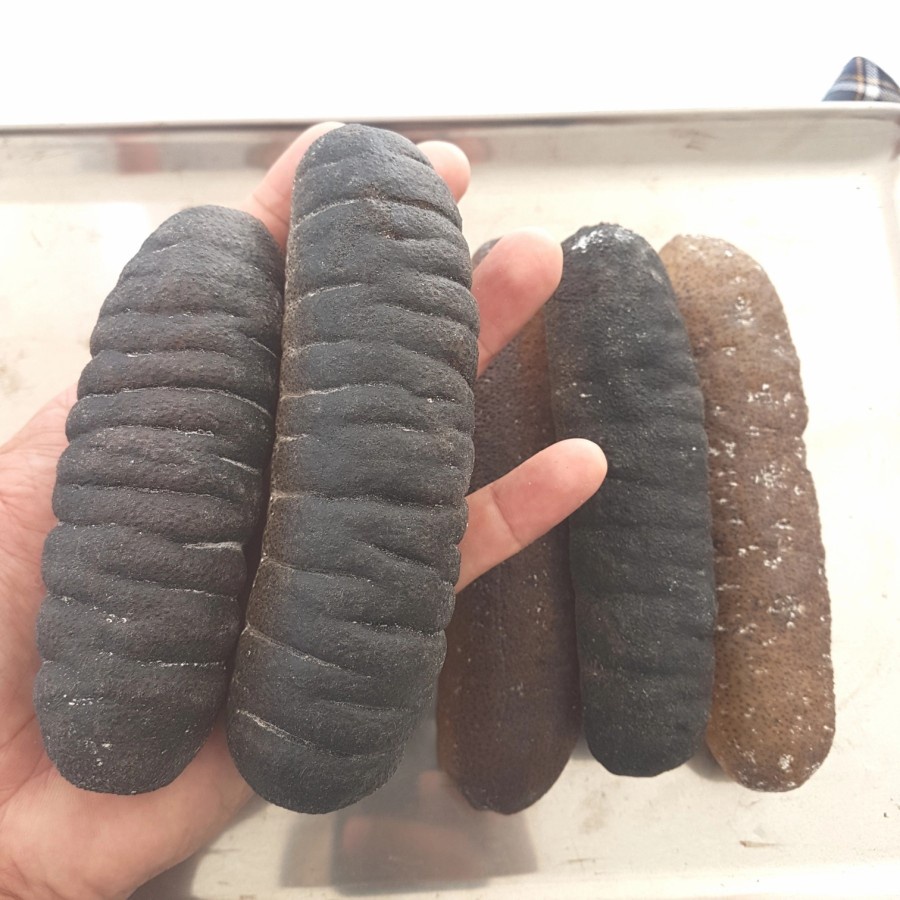 

teripang gosok super isi 4-7pc/500gr