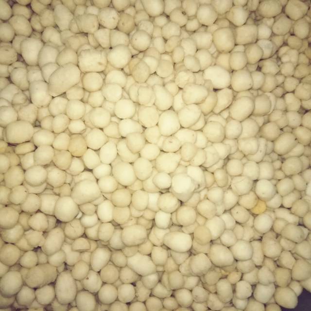 

Cikur Murah | Topping Bakso Aci