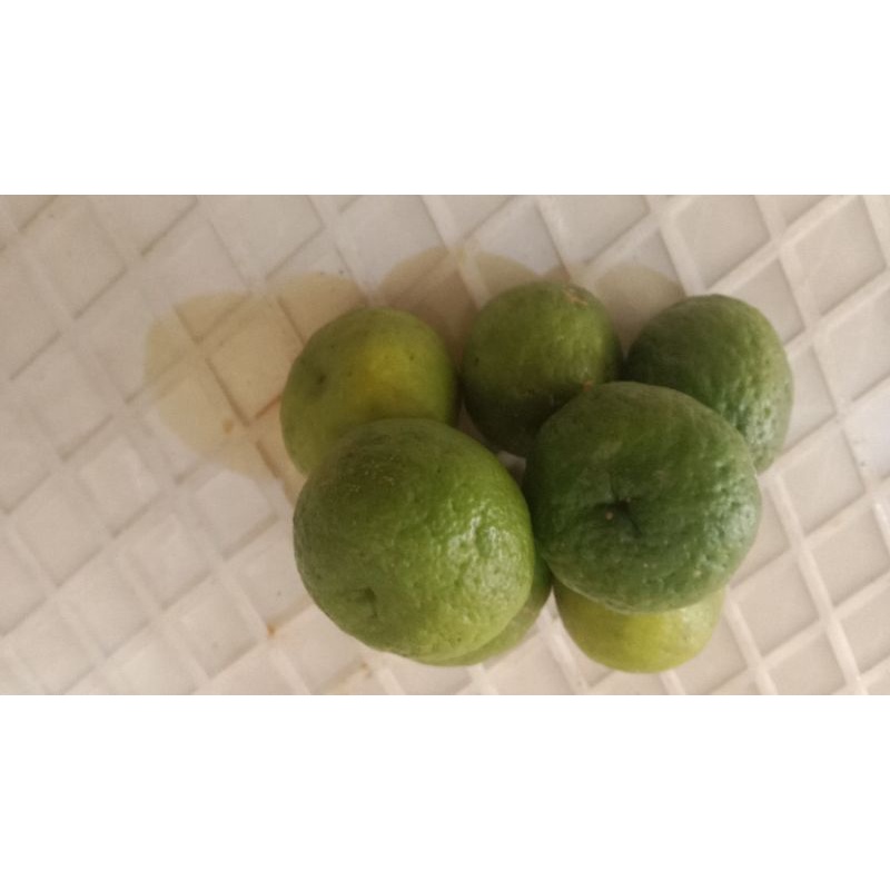 

jeruk limau 1/4kg