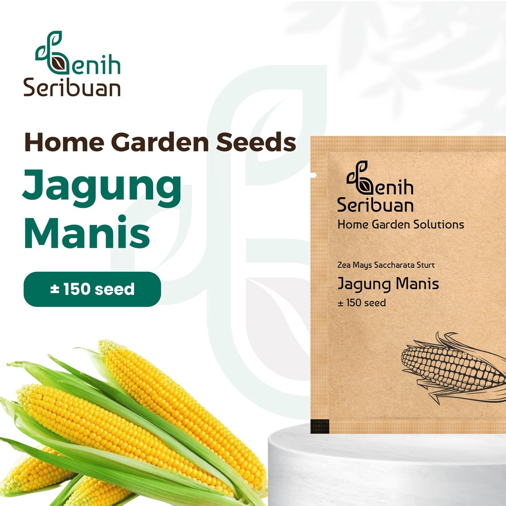 Benih Seribuan - Bibit Sayuran Jagung Manis Unggul