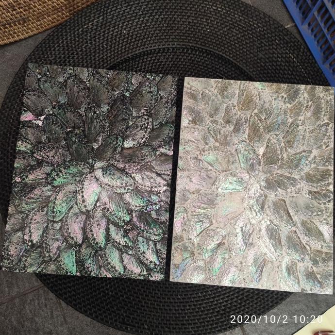 @#@#@#] Placemat Kerang abalone
