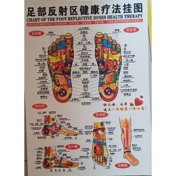 Papan titik akupuntur