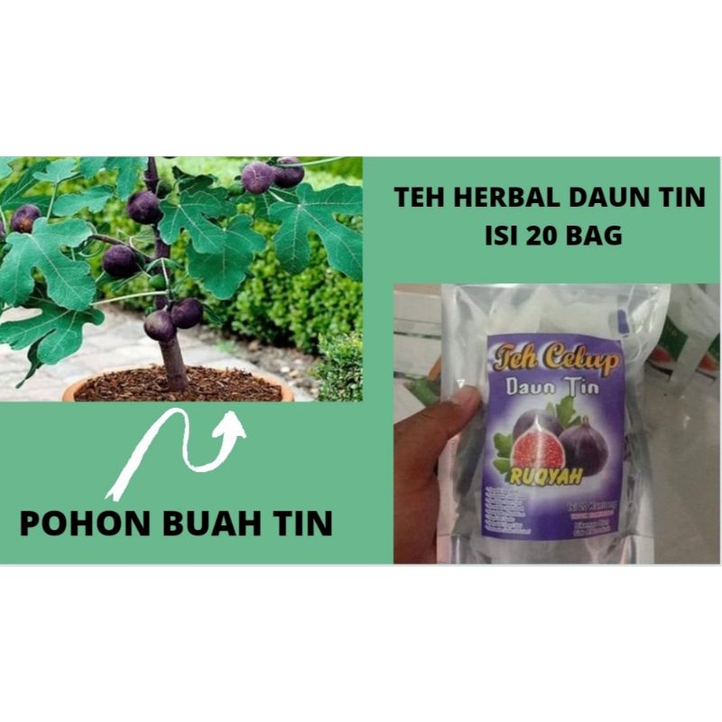 

TEH HERBAL DAUN TIN ISI 20 BAG