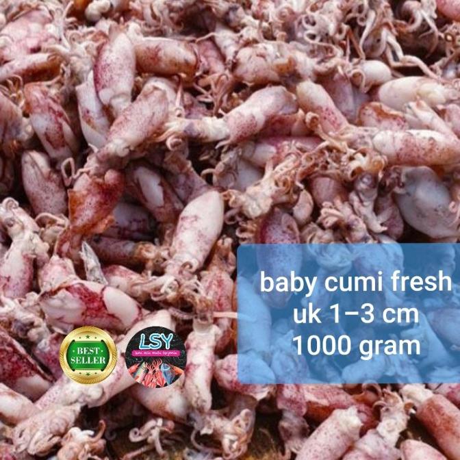 

Promo ikan asin baby cumi 78% 1kg