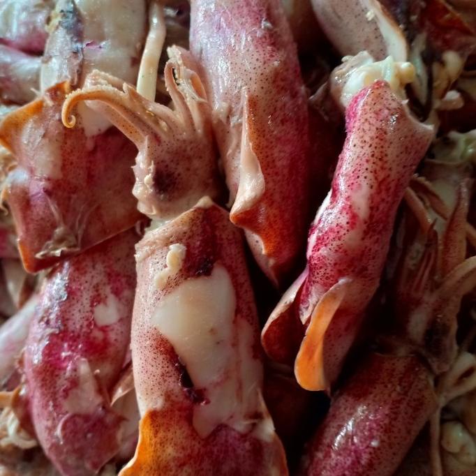 

Promo cumi asin jarum jumbo per 1kg