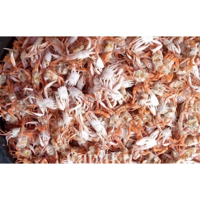 

Paket Partai Baby Crab/Paket Partai Kepiting + Sterofoam Box