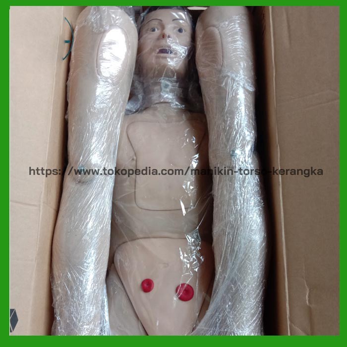 Hot Sale Phantom Manikin Keperawatan Full Body Multifungsi Terlaris