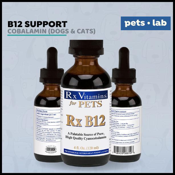 Rx Vitamins For Pets B12 Cobalamin Anemia Anjing Cat Kurang Darah