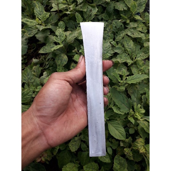 tatah / pahat bonsai